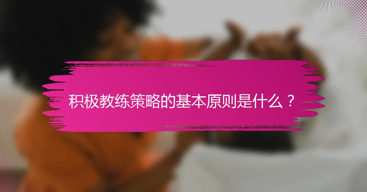 积极教练策略的基本原则是什么？