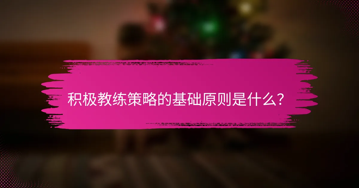 积极教练策略的基础原则是什么？
